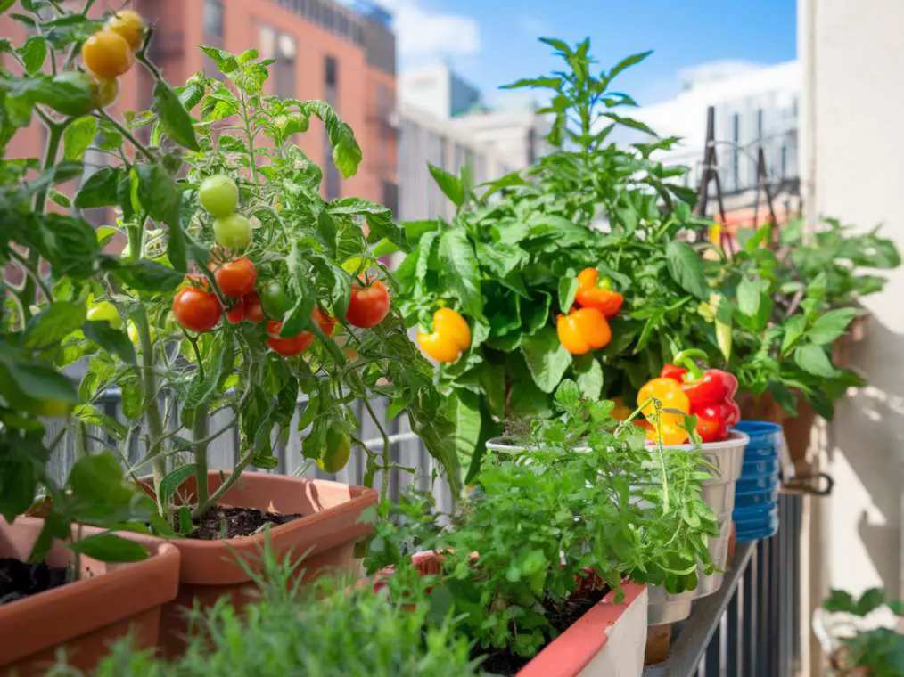 Simple Small Balcony Garden Ideas