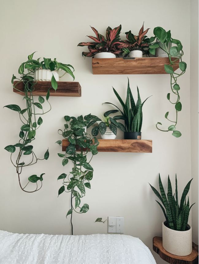 boho bedroom with plants